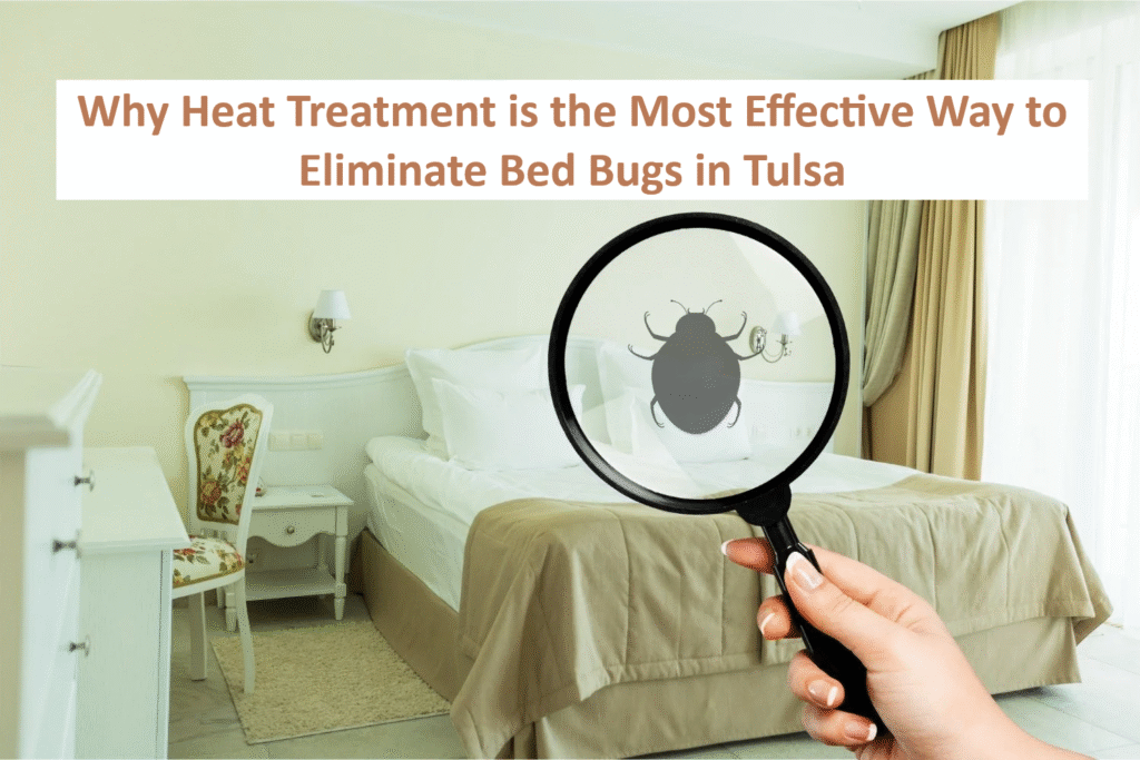 Why Heat Treatment is the Most Effective Way to Eliminate Bed Bugs in Tulsa